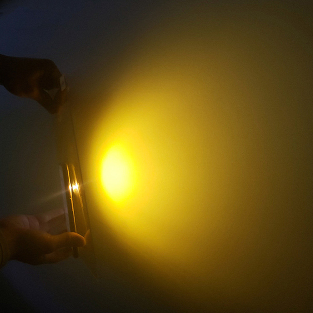 Photography Lighting Mood - Professional Color Correction Film Sunset Pet